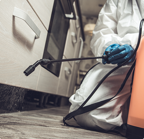 光触媒（チタンテックス）<